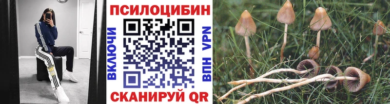 Псилоцибиновые грибы прущие грибы  сколько стоит  Верхний Уфалей 